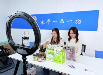 管理工程系